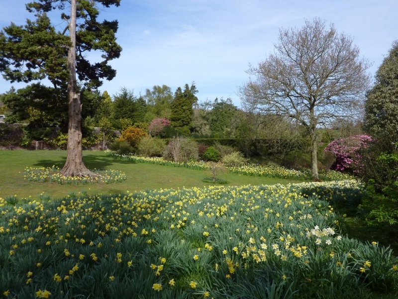 Shobrooke Park Gardens